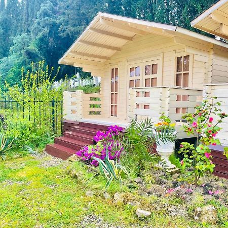 Vacation Home Apsar New Athos Eksteriør billede